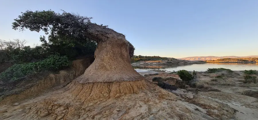 Caratteristica roccia a fungo sulla riva di Lopar
