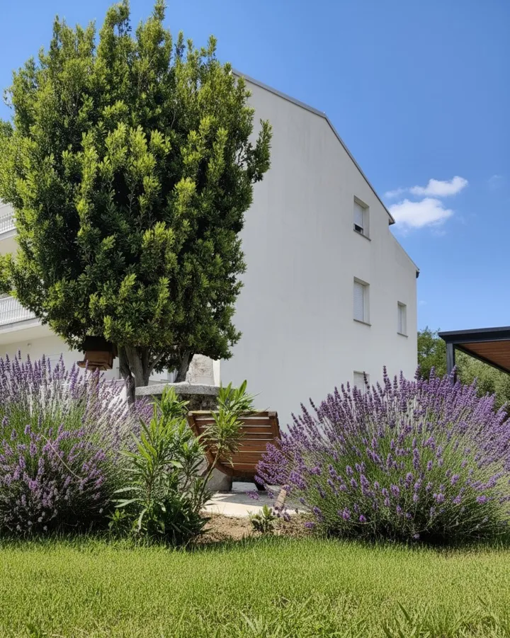 Casa con lavanda e giardino mediterraneo