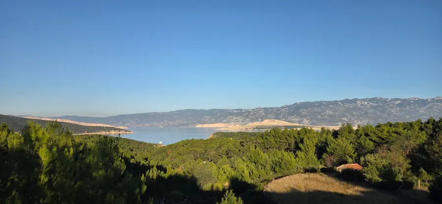 Vista sul mare attraverso la pineta